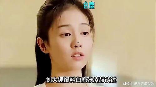 刘大锤爆料最新白鹿视频